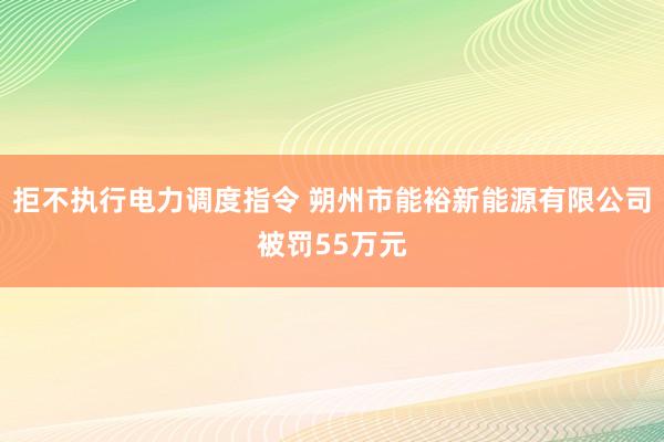 拒不执行电力调度指令 朔州市能裕新能源有限公司被罚55万元